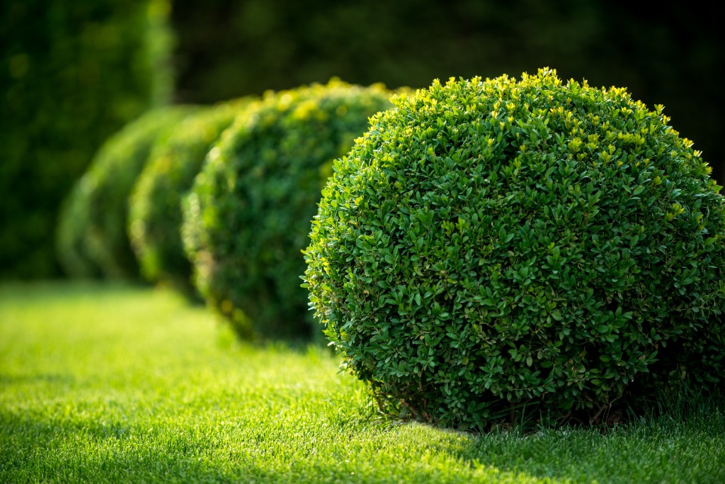 entretenir un jardin